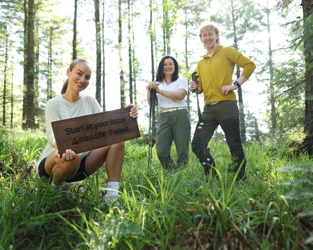 The new Coillte campaign was launched this month