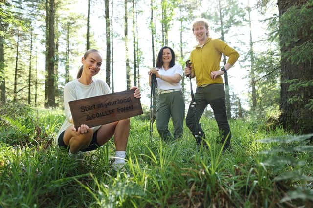 The new Coillte campaign was launched this month