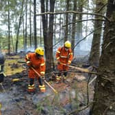 Tipperary Fire and Rescue firefighters working to suppress the wildfire on Slievenamon