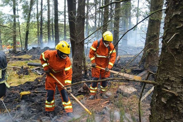 Tipperary Fire and Rescue firefighters working to suppress the wildfire on Slievenamon