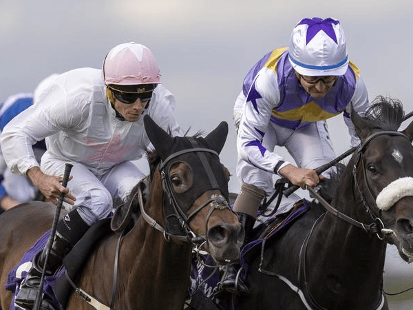 Ethical Diamond and Ryan Moore wins the Gr.3 Ballyroan Stakes at Leopardstown