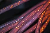 In Kilkenny City and county alone, 19,000 premises can now avail of fibre-power broadband