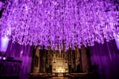 The event also provides an opportunity for concert goers to experience the hugely popular
Peace Doves event that is taking place in St Canice’s Cathedral