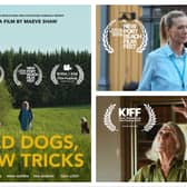 Old Dogs, New Tricks is a short film written and directed by Maeve Shaw