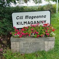 Safety work planned for scene of serious road accident in Kilkenny