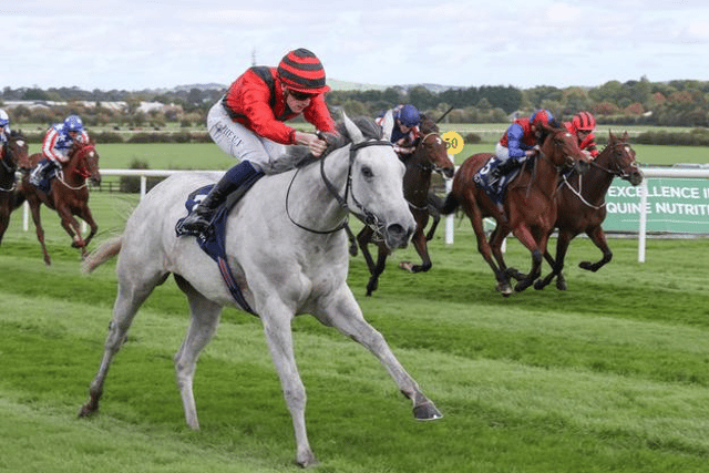 Formous ridden by Joe Sheridan, near side, winning The Irish Stallion Farms EBF Fillies Maiden at Naas.