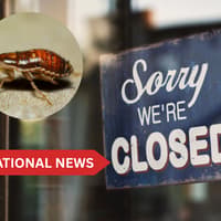 'Cockroaches and rodent droppings' - 12 food businesses ordered to close in September