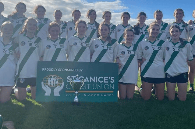 Tullaroan, under-16 Roinn C county champions