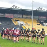 Dicksboro and Piltown player before the senior county final