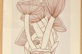 Mushrooms by Clodagh Holohan