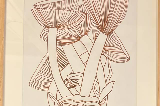 Mushrooms by Clodagh Holohan