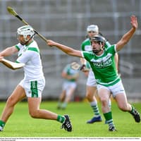 Shamrocks and Tullaroan to clash in Kilkenny senior hurling final