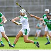 Tullaroan and Shamrocks Ballyhale meet in a final to savour at Nowlan Park on Sunday afternoon.
