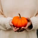 Camphill Thomastown will host its harvest festival in Kilkenny this Friday, October 23