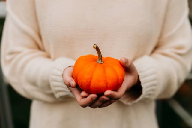 Camphill Thomastown will host its harvest festival in Kilkenny this Friday, October 23