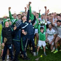 Kilkenny champions Shamrocks become first winners of new Tom Walsh Cup