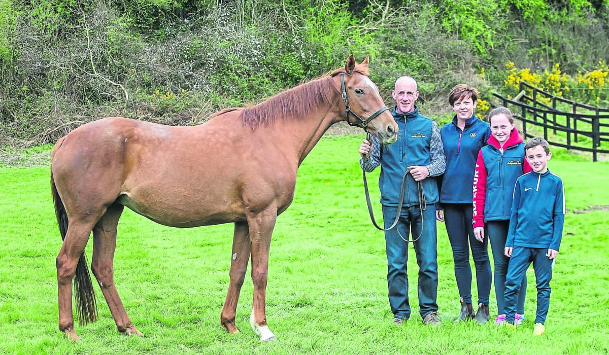 horse is Grand National winner Kilkenny Live