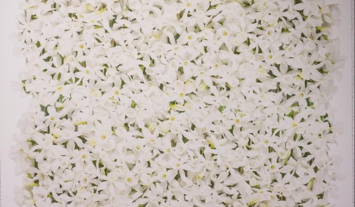 Kilkenny artist remembers Tuam babies in highly charged exhibition