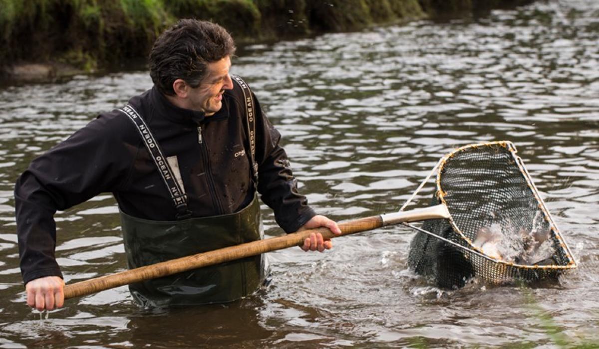 Trout farm to scale up operations in Kilkenny Kilkenny Live