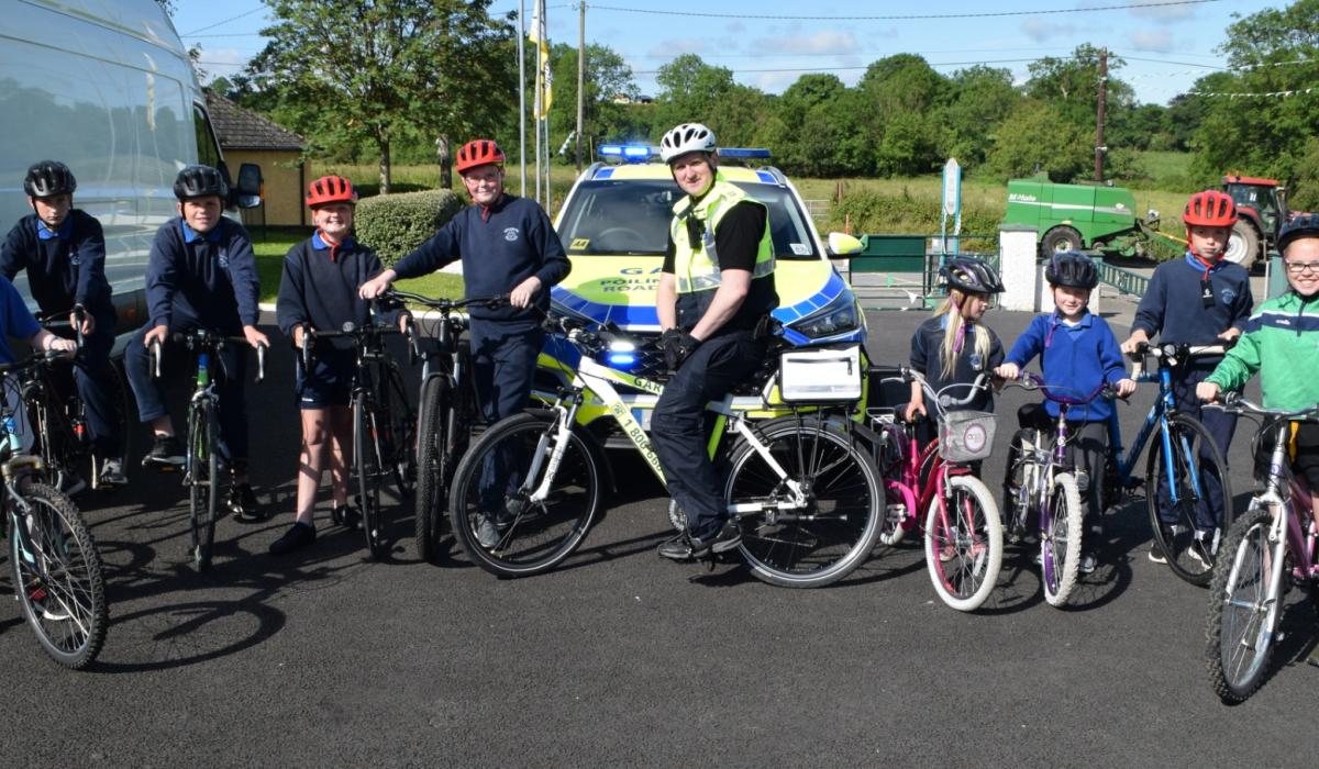 Cycle Smart: A Comprehensive Guide to Safe AAS Use