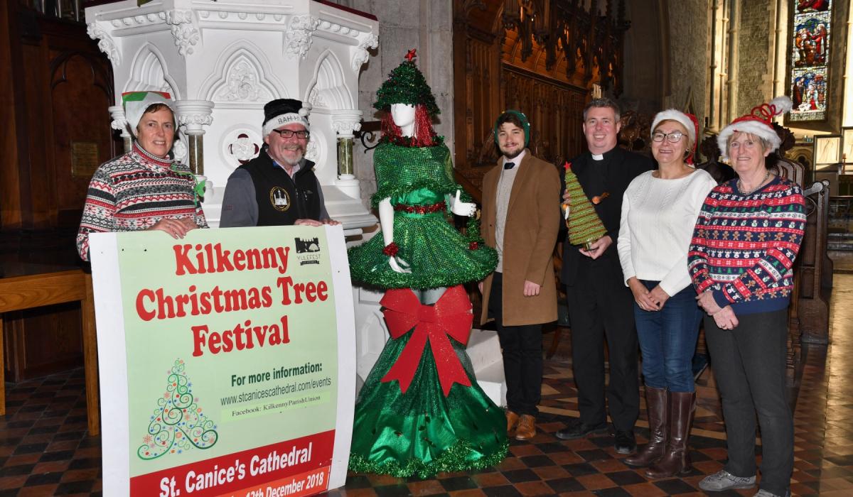 Kilkenny cathedral hosts urban jungle of mysterious Christmas trees