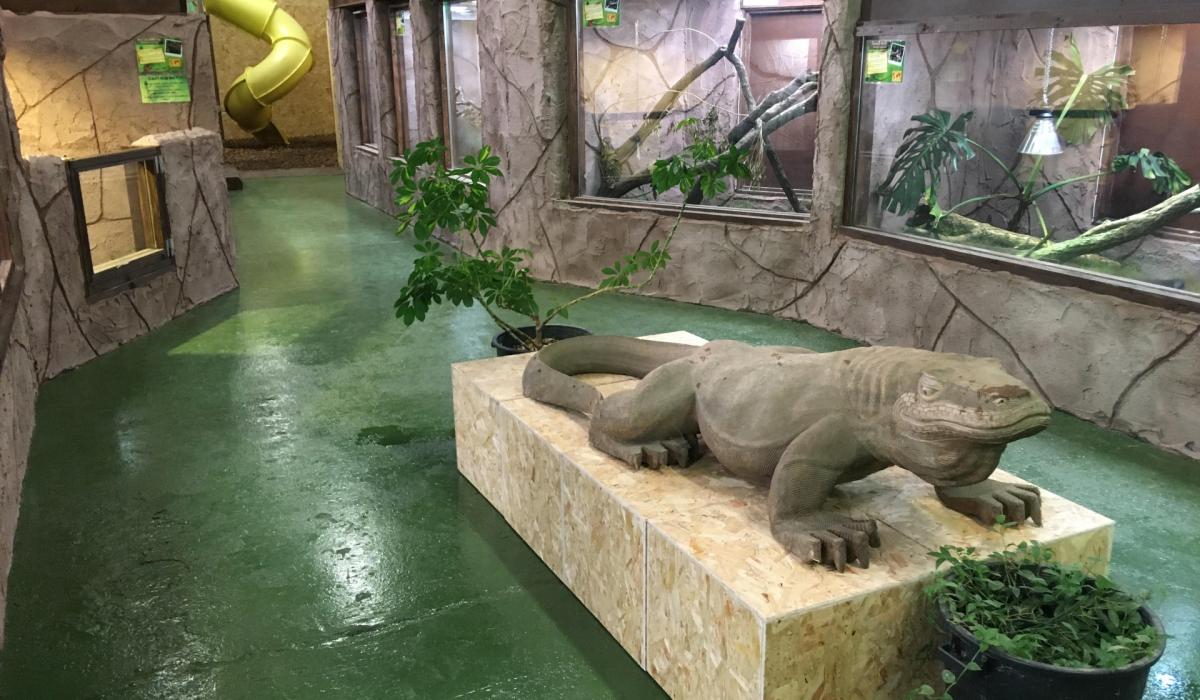 The National Reptile Zoo in Kilkenny is asking for support to help feed