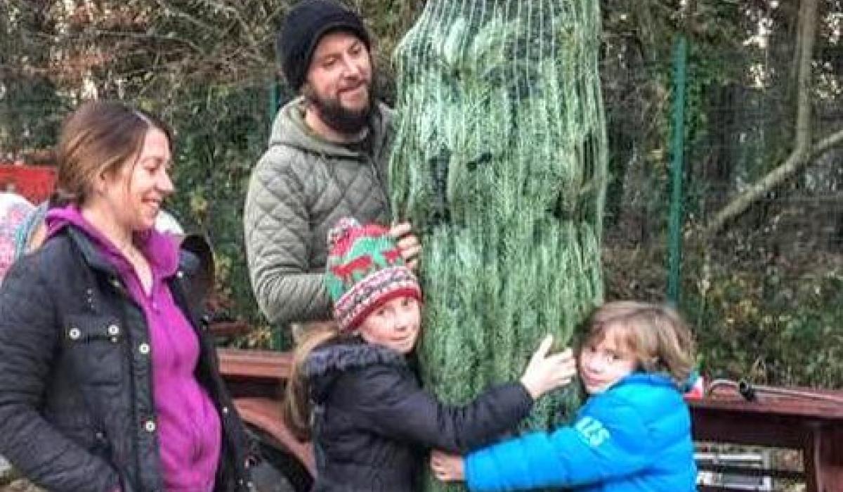 Ten tips for a sustainable Christmas in Kilkenny Kilkenny Live