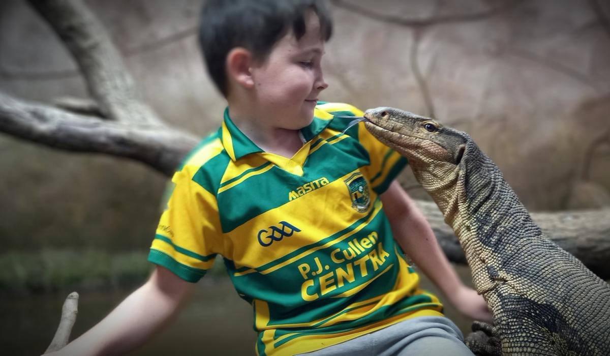 Giant African snails and a green Mamba are newest residents at reptile