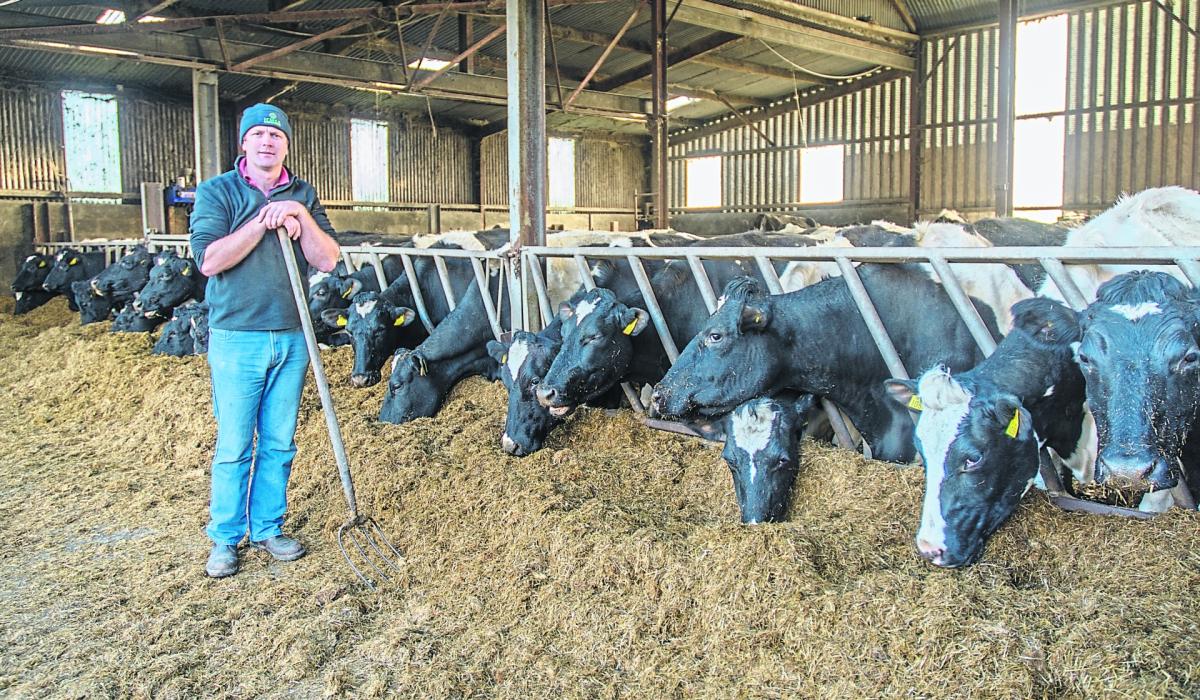 Revised TAMS costings “hopelessly below” real cost Kilkenny farmer