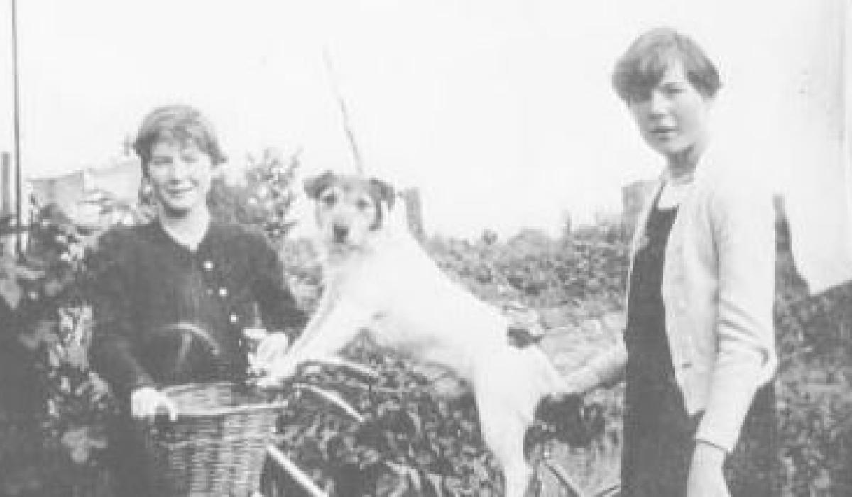 The curious tale of the cycling Kilkenny dog Kilkenny Live