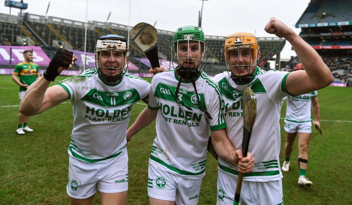 Shamrocks players dominate selection on the AIB GAA Club Hurling Team