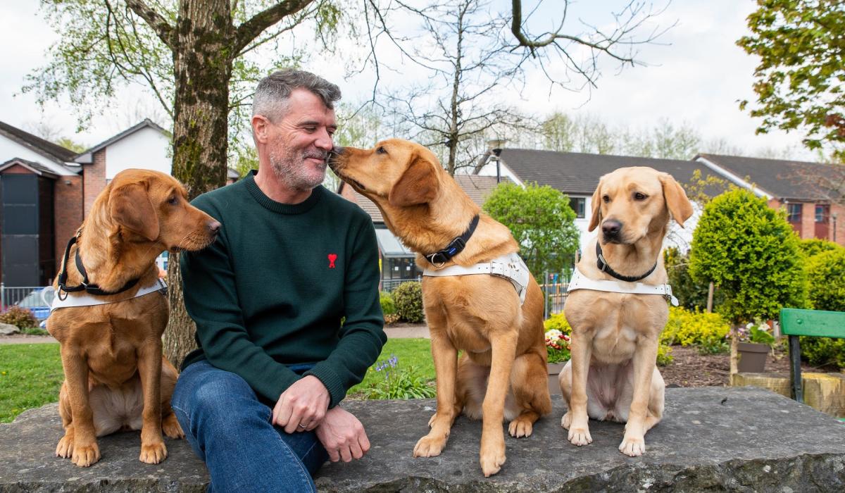 Get walking in Kilkenny and raise funds for The Irish Guide Dogs