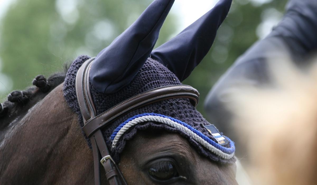 Kilkenny duo take part in International Pony Showjumping competition