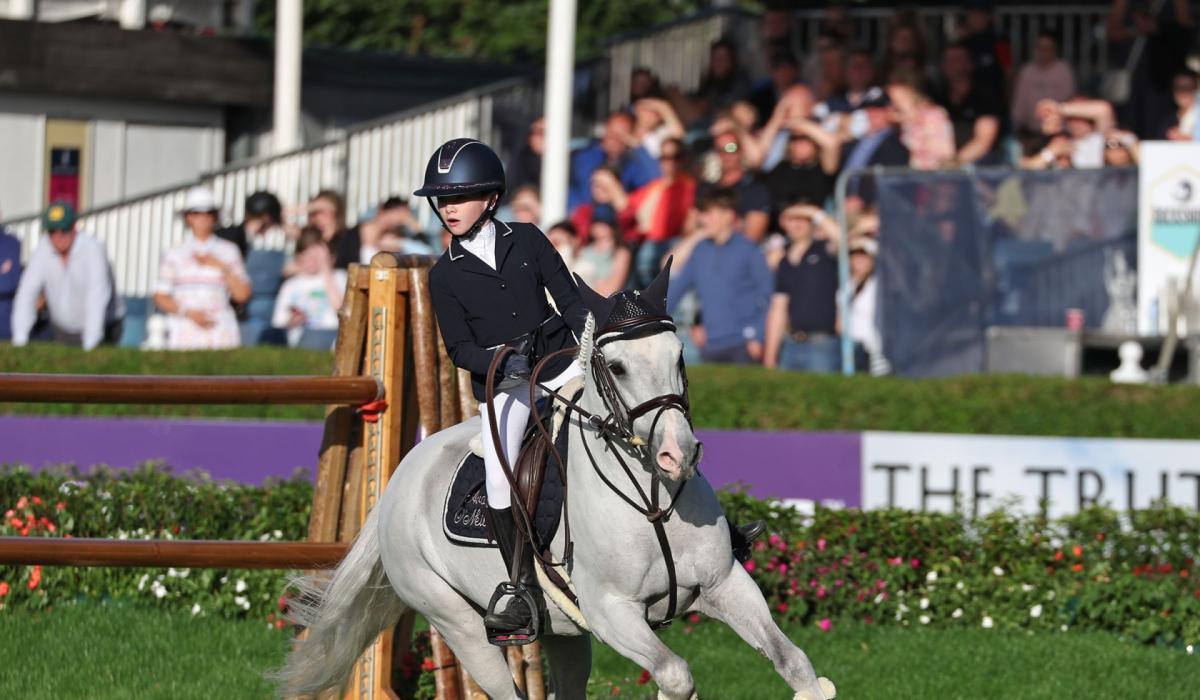 Massive Kilkenny interest at the Dublin Horse Show Kilkenny Live