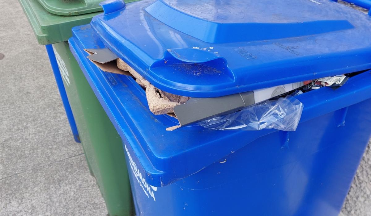 Bin company announces Kilkenny collection delay due to death Kilkenny