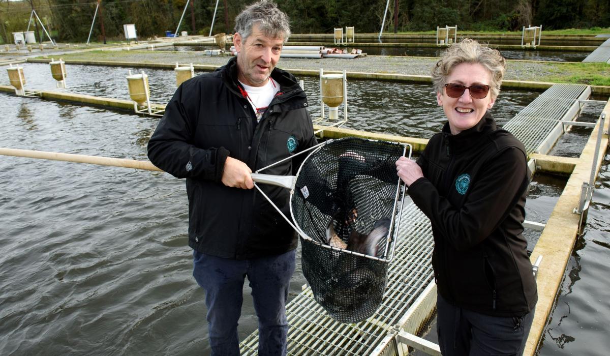 Goatsbridge Trout Farm to scale up production after €1.68 million