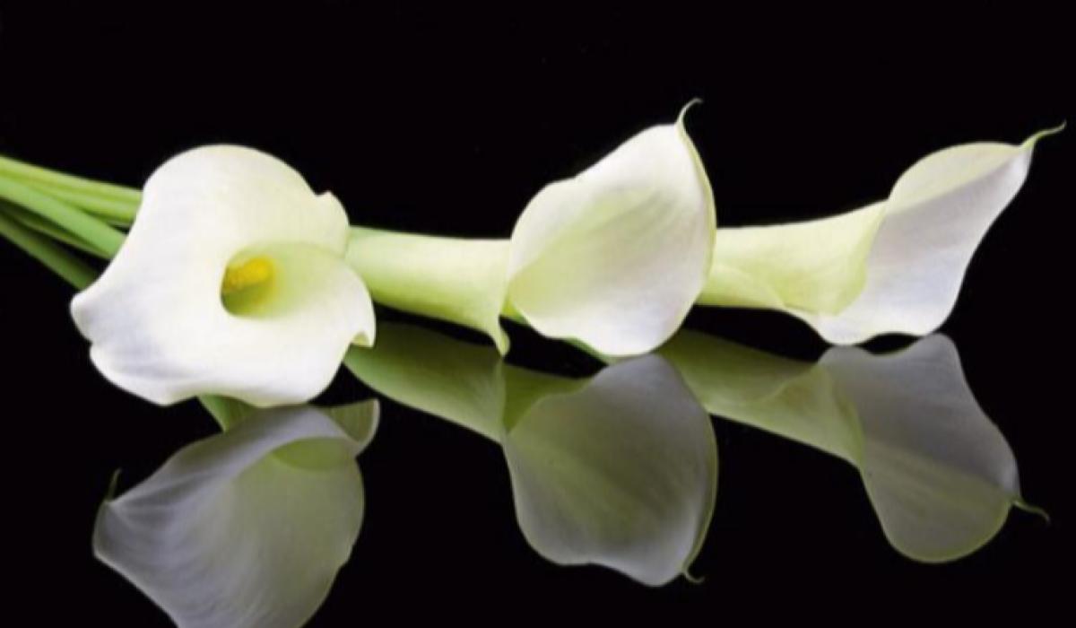 RIP: Kilkenny community remember 'ray of sunshine' after sad passing 