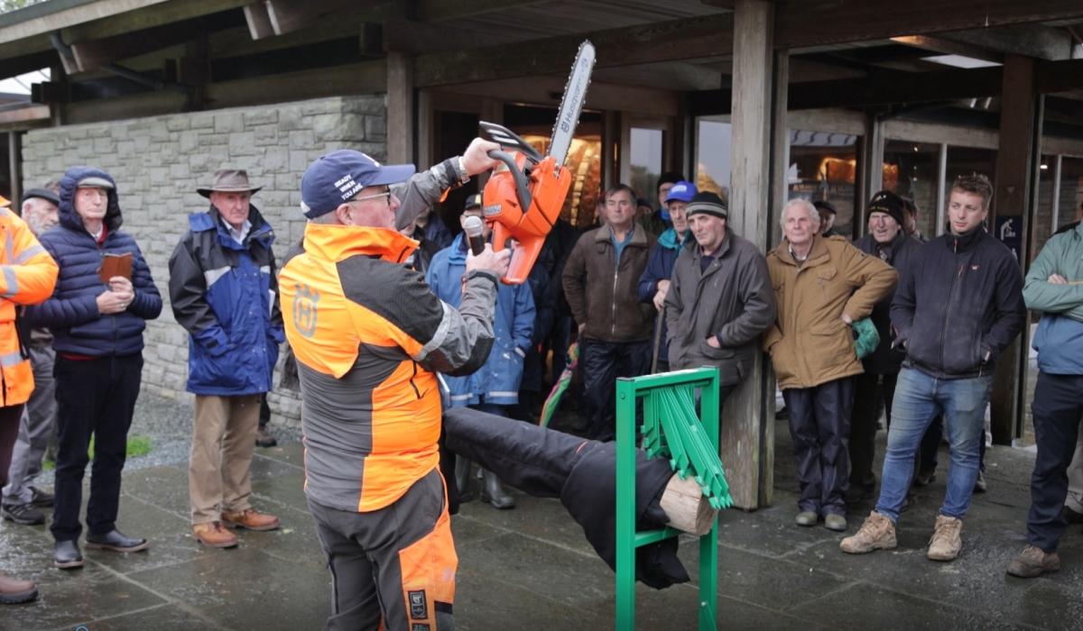 Ireland's first Festival of Forestry to be held on Kilkenny border