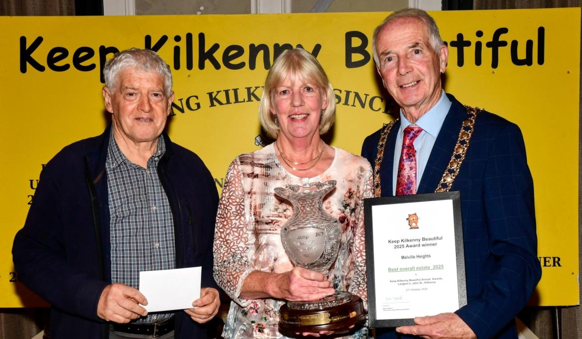 All the results - What the Tidy Towns judges said about every Kilkenny entry!