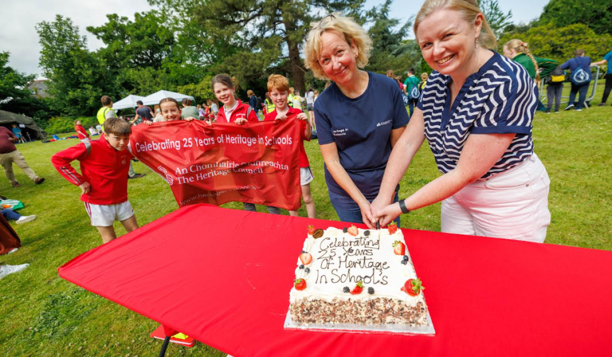 School programme popular in Kilkenny celebrates landmark milestone