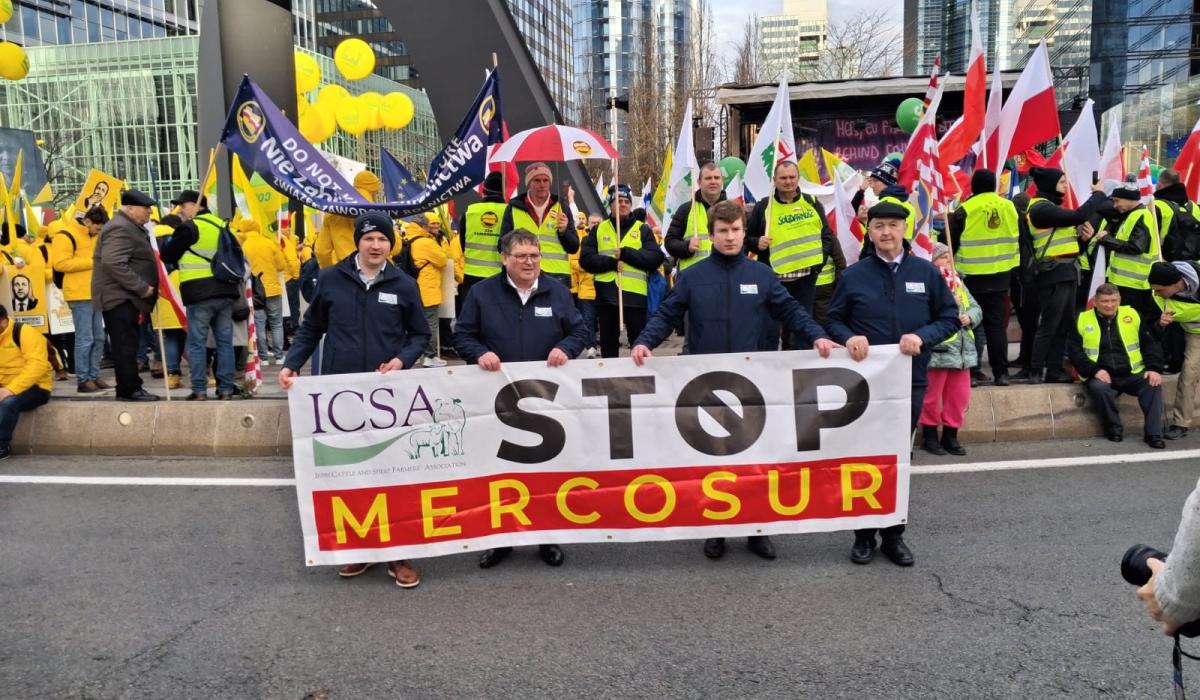 Reaction: Kilkenny voices say Mercosur vote 'devastating' for Irish farmers