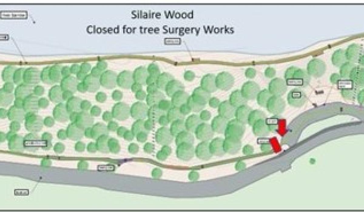 Section of Kilkenny walking destination to close for essential works