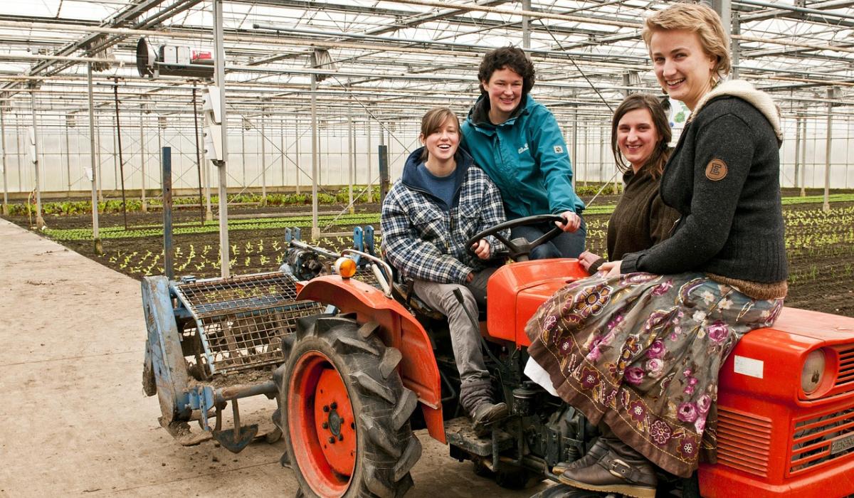 Attention Kilkenny farmers  - Ambassador needed for International Year of the Woman Farmer