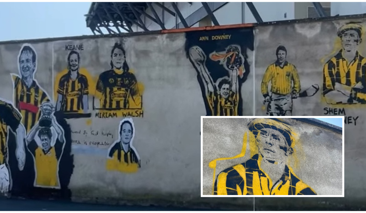 More Kilkenny hurling and camogie stars painted to the walls of UPMC Nowlan Park 