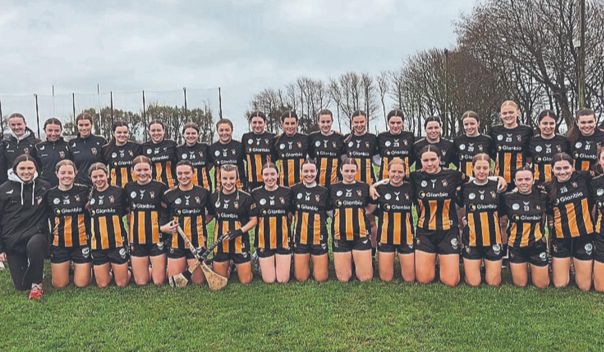 Ruthless Kilkenny stroll past Deise in Under-23 Camogie Championship ...