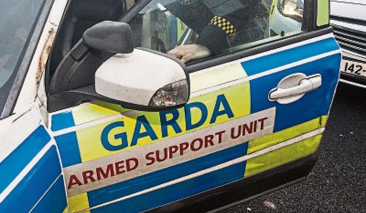 UPDATE Gardai arrest 41 people in Thomastown area today Kilkenny Live