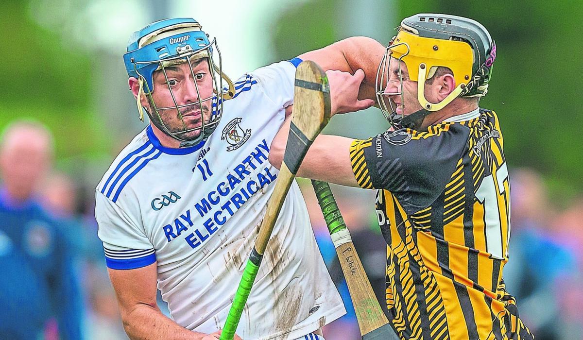 Kilkenny IHC Joy for Johnstown as Freshford fall to junior ranks