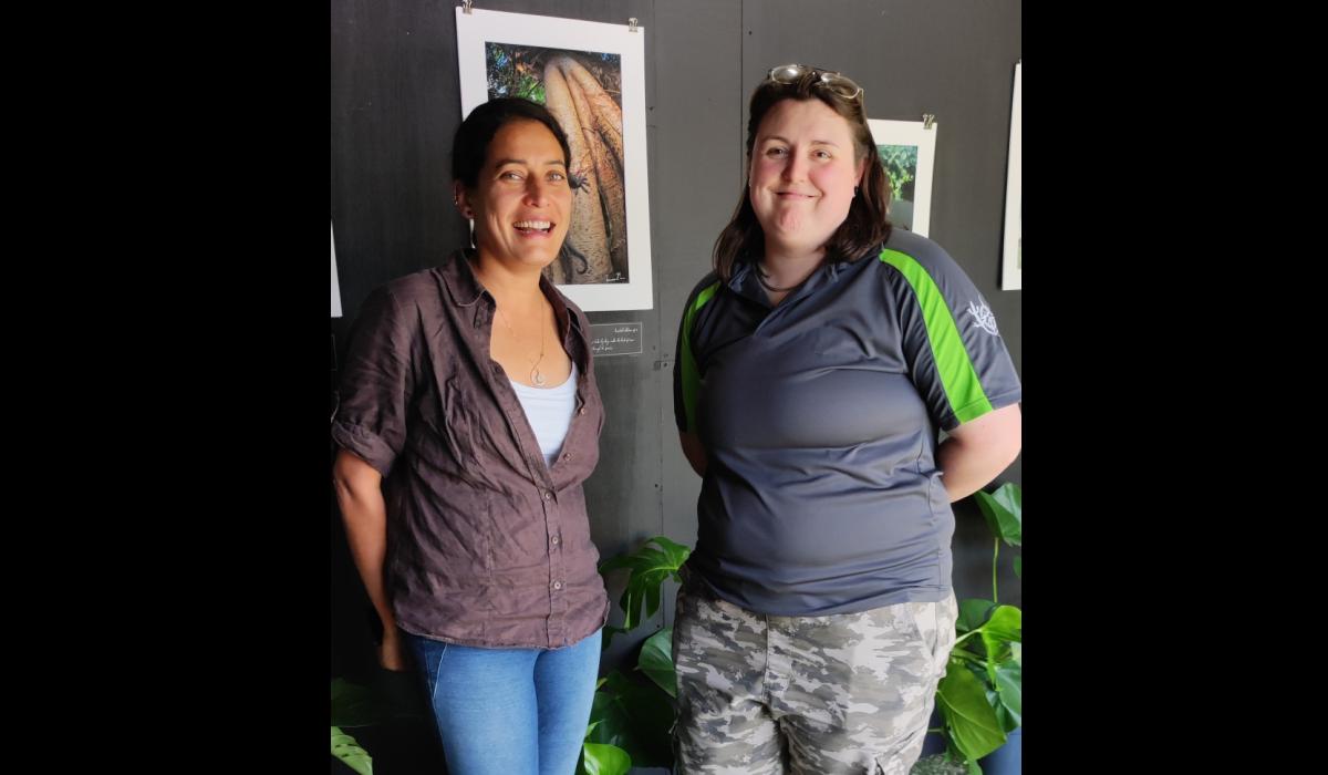 National Reptile Zoo in Kilkenny launches nature gallery Kilkenny Live