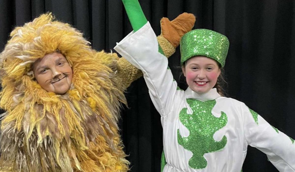 Talented Kilkenny stage school pals star in Late Late Toy Show