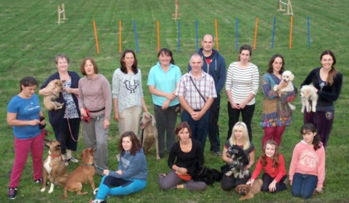 Kilkenny’s Dog club a home for puppy love Kilkenny Live